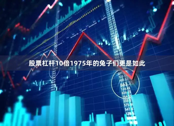 股票杠杆10倍1975年的兔子们更是如此