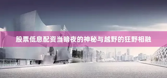 股票低息配资当暗夜的神秘与越野的狂野相融