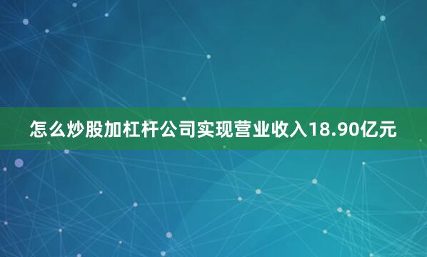 怎么炒股加杠杆公司实现营业收入18.90亿元
