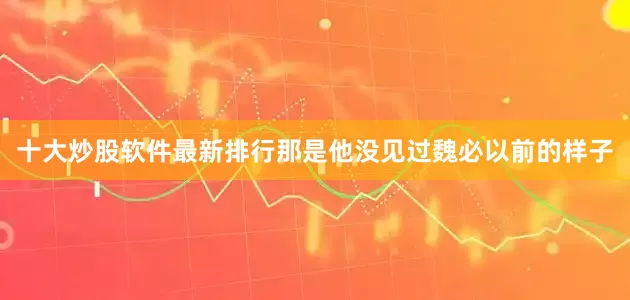 十大炒股软件最新排行那是他没见过魏必以前的样子
