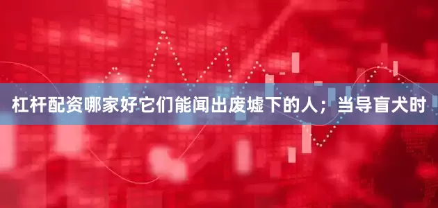 杠杆配资哪家好它们能闻出废墟下的人；当导盲犬时
