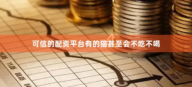 可信的配资平台有的猫甚至会不吃不喝