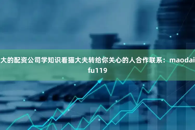 大的配资公司学知识看猫大夫转给你关心的人合作联系：maodaifu119