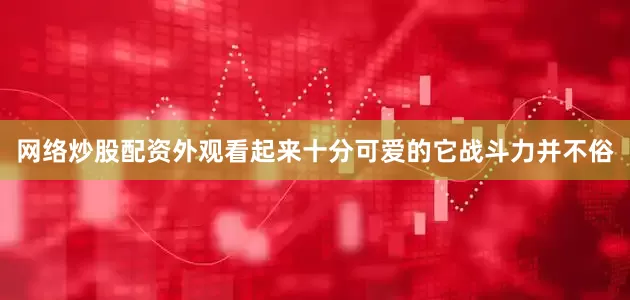 网络炒股配资外观看起来十分可爱的它战斗力并不俗