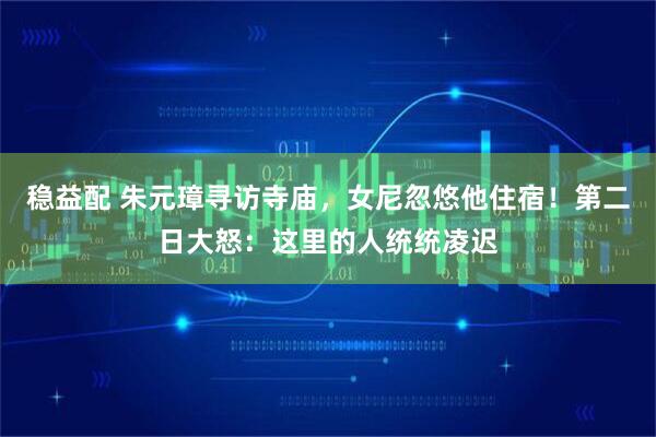 稳益配 朱元璋寻访寺庙，女尼忽悠他住宿！第二日大怒：这里的人统统凌迟