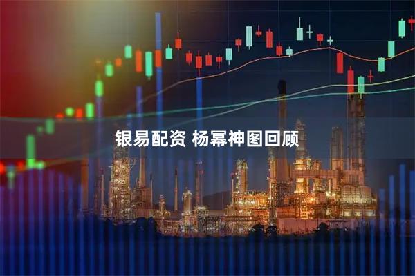 银易配资 杨幂神图回顾